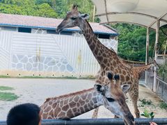 -泉州海丝野生动物世界