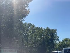 -秦皇岛野生动物园