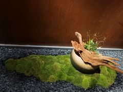 -物心空间