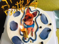 -Dark Horse·黑马蛋糕·低脂·低糖淡奶(金匙望湖大厦店)