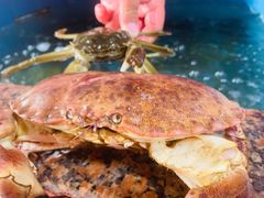 -无锡天鹏食品城