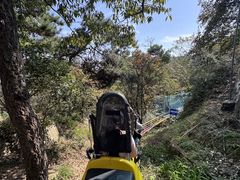 -沂蒙山旅游区云蒙景区(蒙山国家森林公园)