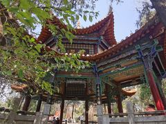 -昆明动物园