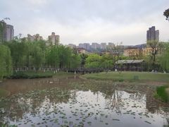 -沐仙湖湿地公园