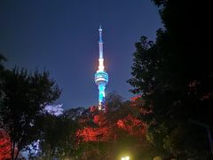 -月湖风景区
