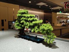 -海底捞火锅(亲贤北街店)