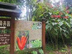 -中国科学院西双版纳热带植物园