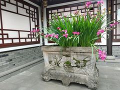 -古大圣慈寺