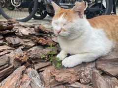 -华东政法大学(松江校区)