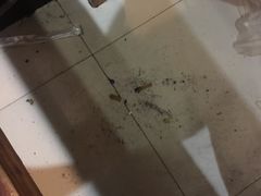 -江源道(龙源小区店)