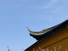 -无锡梅园公园
