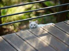 -苏州河梦清园环保主题公园