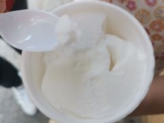 -洪馨椰子