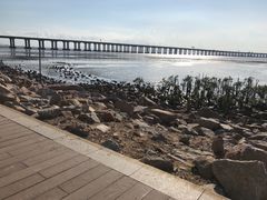 -宝安西湾红树林湿地公园