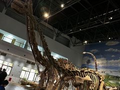 -自贡恐龙博物馆