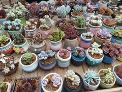 -李村大集