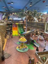 -卡通尼·Safari非洲探索乐园·生日会(金桥国际商业广场店)