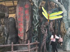 -南戴河国际娱乐中心