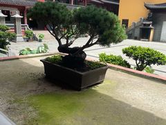-会龙寺