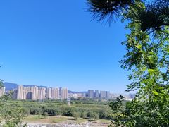 -7号院家宴.烧鸽子(门头沟店)