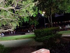 -顺峰山公园