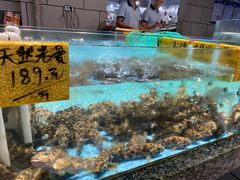 -天然居·漳港海鲜·海景餐厅(南澳总店)
