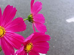 -钟山体育运动公园