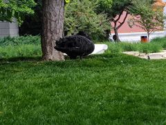 -石景山区图书馆(八角南路)