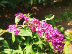 -永定河休闲森林公园