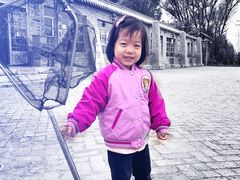 -白洋淀景区