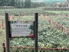 -乌村