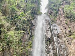 -姑婆山旅游区