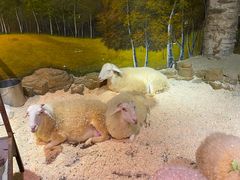 -正佳雨林生态植物园