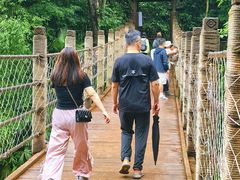 -凤栖山