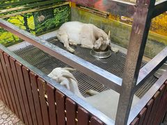 -上海大自然野生昆虫馆(东方明珠·爬宠昆虫探索中心)