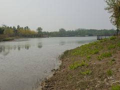 -东郊湿地公园