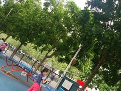 -天河体育中心