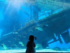 -福州罗源湾海洋世界旅游区