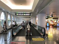 -厦门高崎国际机场-T3航站楼