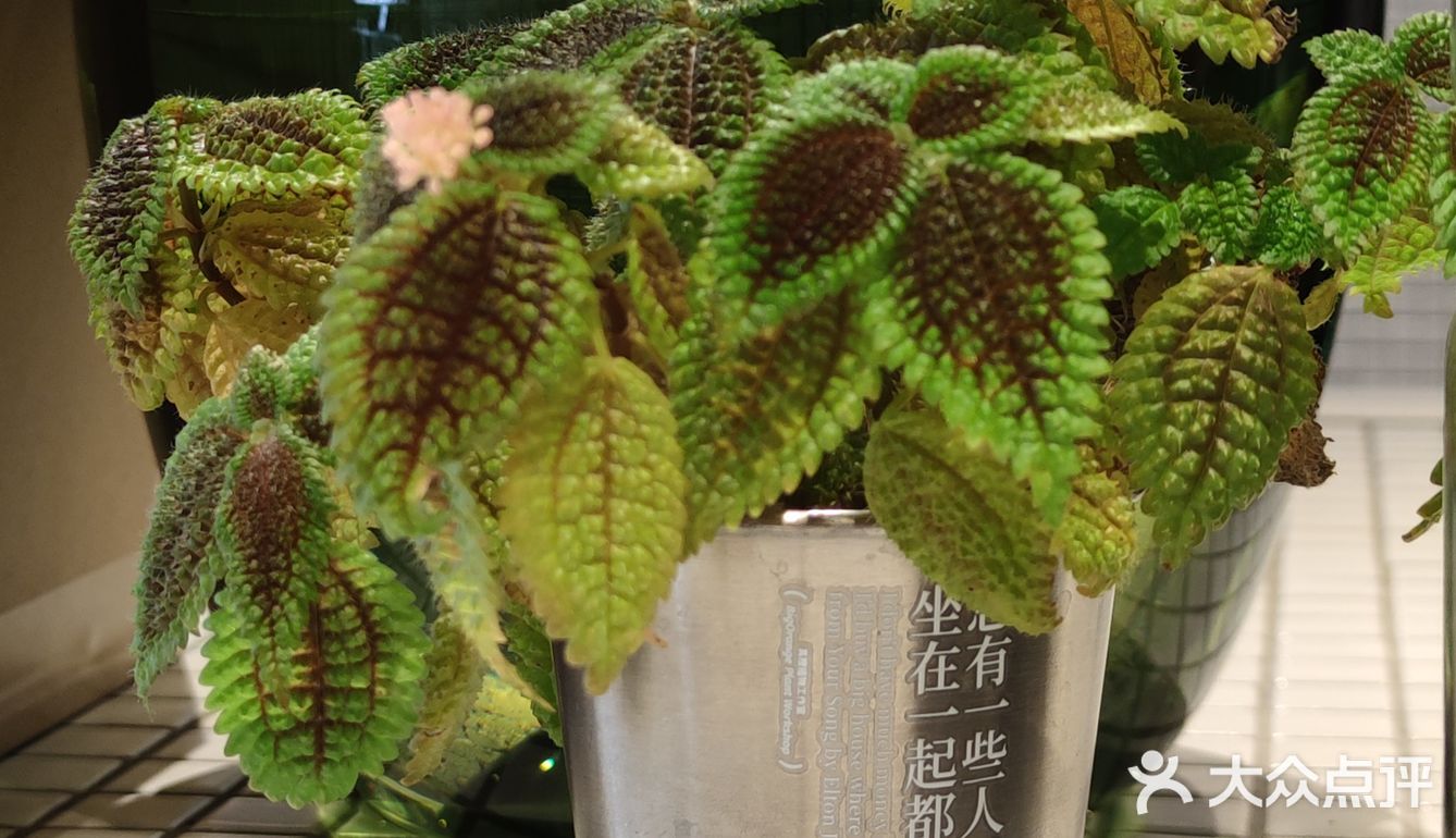 打卡收藏已久的咖啡馆