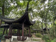 -上海佘山国家森林公园天马山园