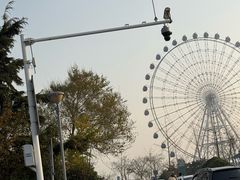 -琴岛之星摩天轮