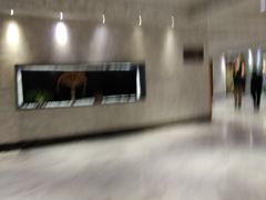 -金尚源SHANG