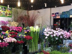 -双季花艺园艺市场(浦东店)