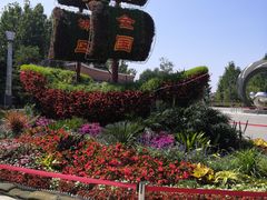 -大兴滨河森林公园