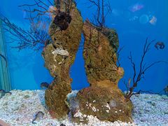 -海合安武汉极地海洋公园