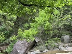 -洛阳白云山景区