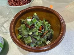 -洞庭家宴·头牌甲鱼(广渠门店)