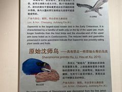 -辽宁古生物博物馆