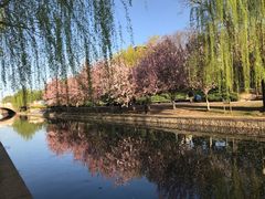 -元大都城垣遗址公园